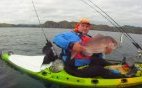 Kayak Fishing Snapper Northland NZ